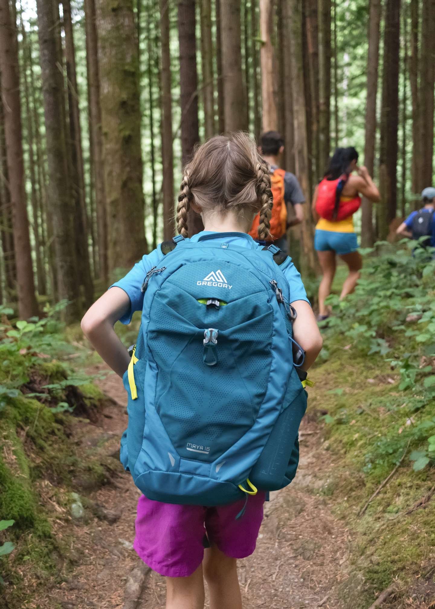 Group of adults and chilren hiking in a forest