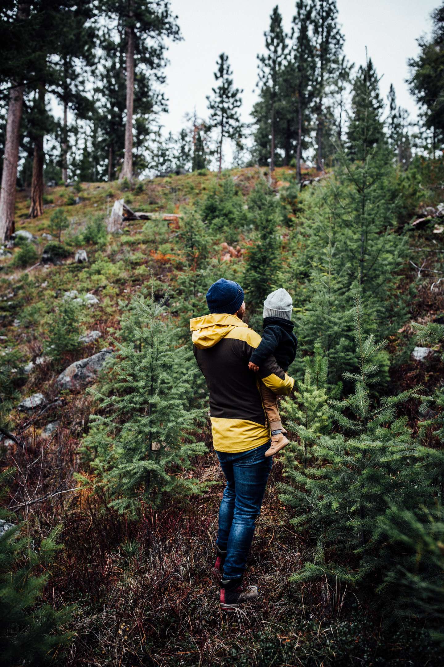 Father holding child on a hike