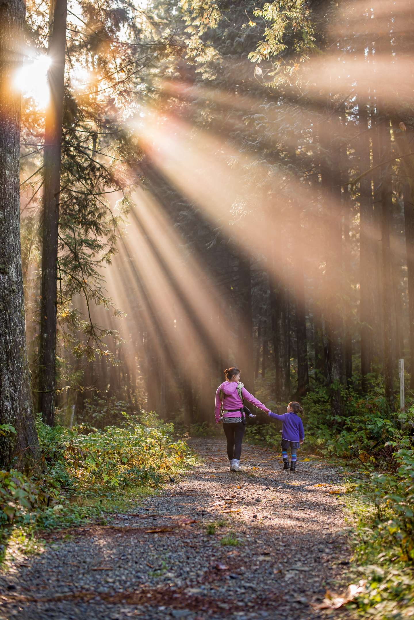 Woman and child holding hands surrounded by trees